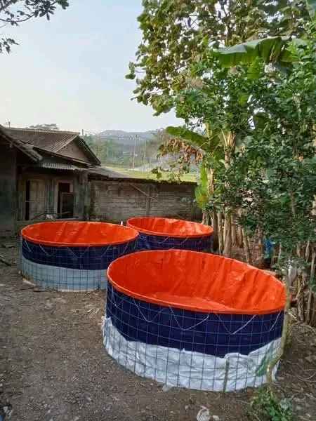 Terpal Kolam Ikan